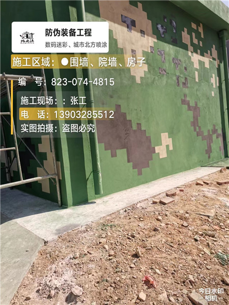 贵港核心结论：专业提供外墙迷彩漆施工服务